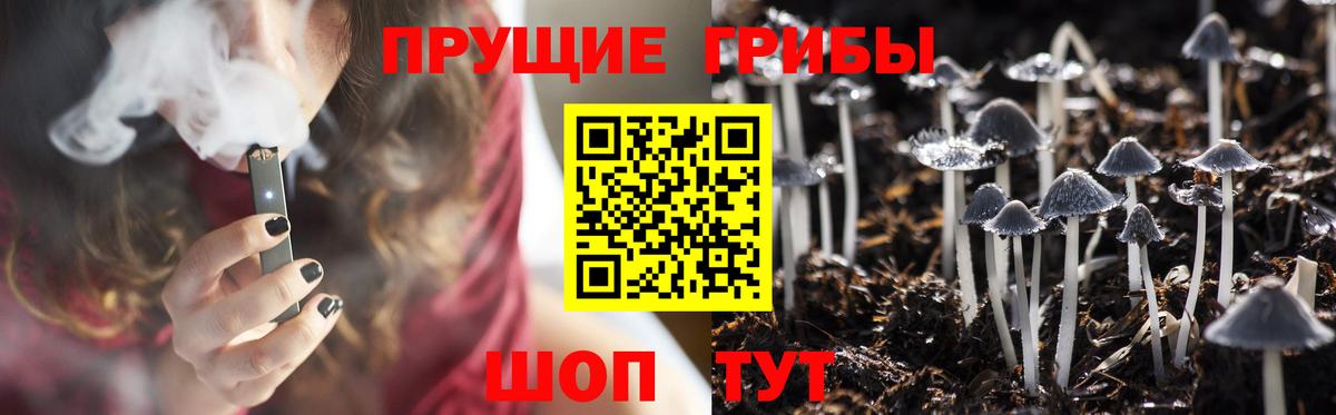 Псилоцибиновые грибы Psilocybine cubensis  наркота  Каменск-Уральский  Псилоцибиновые грибы Psilocybine cubensis  Вход с VPN 
